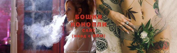 дживик Бронницы