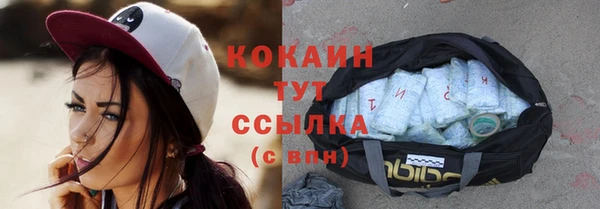 дживик Бронницы