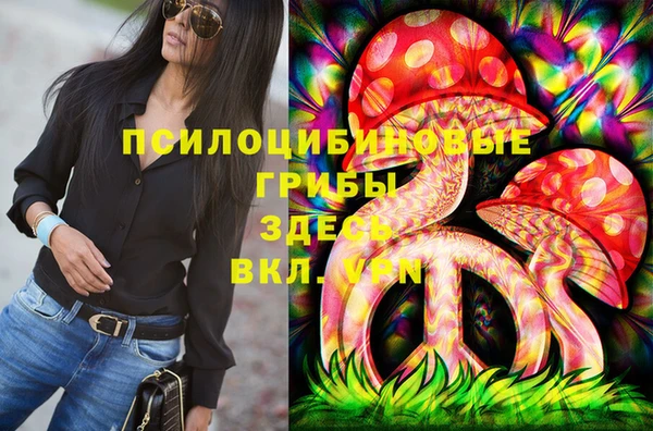 дживик Бронницы