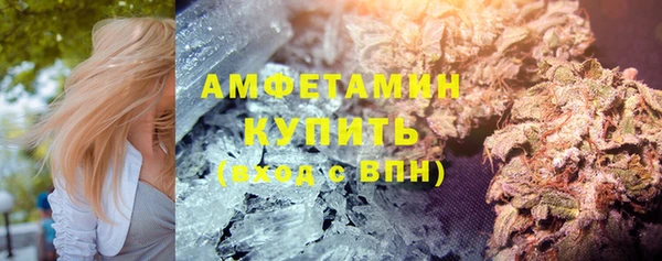 дживик Бронницы