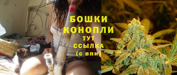 дживик Бронницы