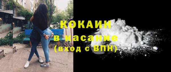 дживик Бронницы