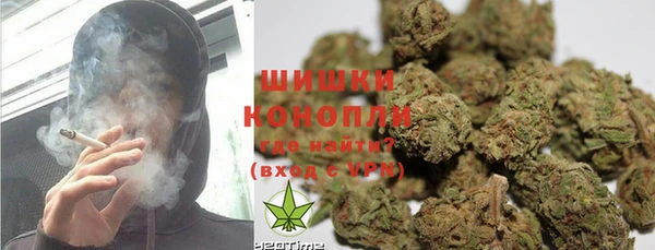 дживик Бронницы