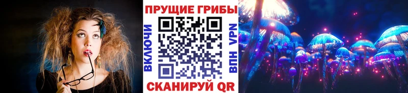 хочу наркоту  Омск  Галлюциногенные грибы Magic Shrooms 